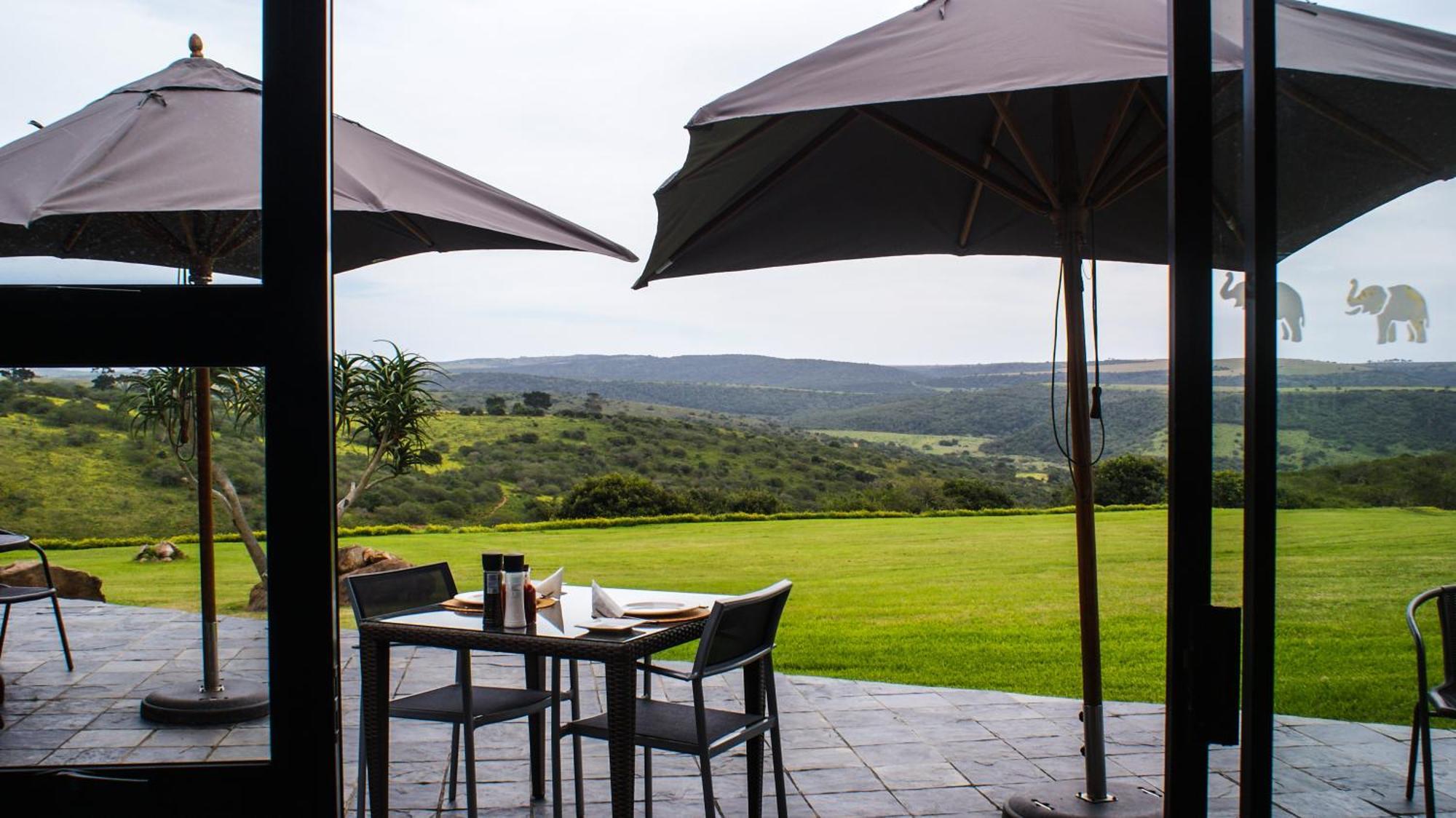 Umbono Private Game Lodge Alexandria  Exterior photo